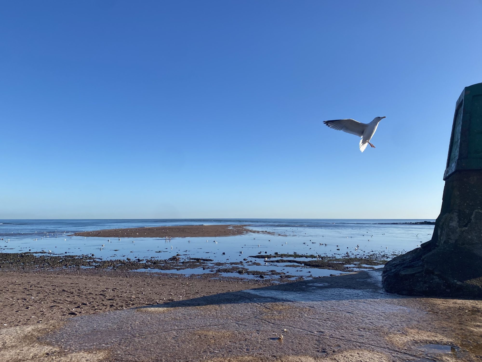 Environment and Marine Conservation - Teignmouth Harbour Commission