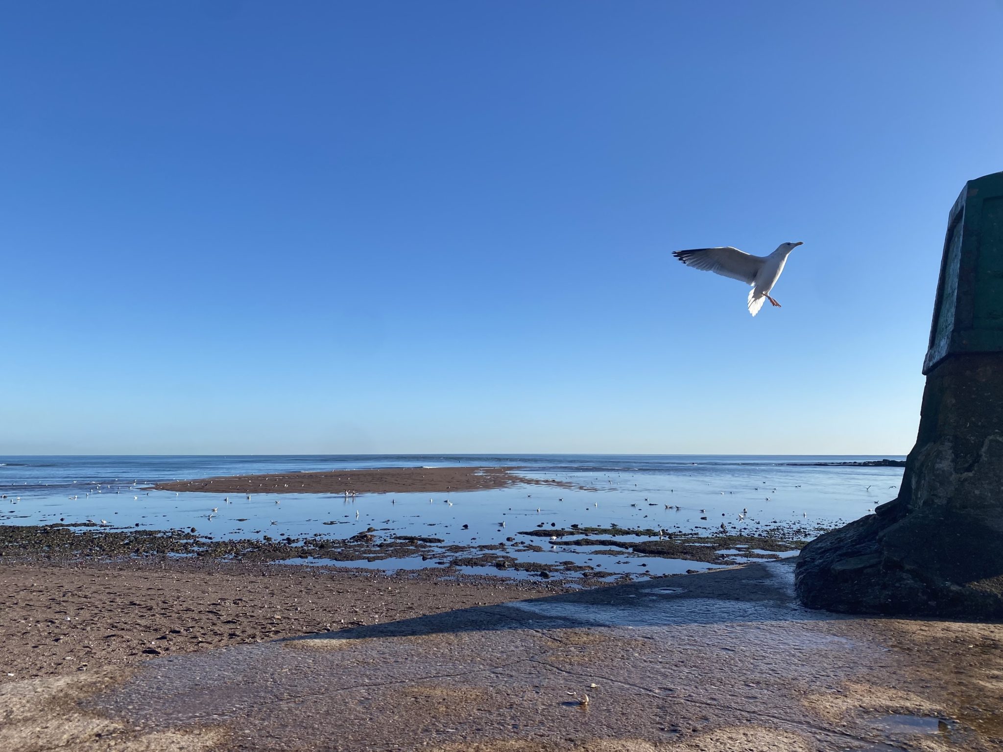 Environment and Marine Conservation - Teignmouth Harbour Commission